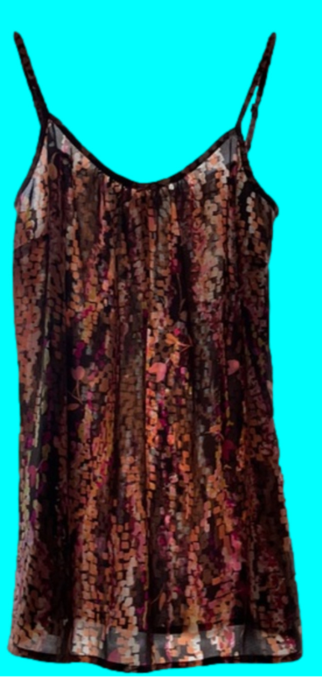 ** Pretty sheer Cabi top XS